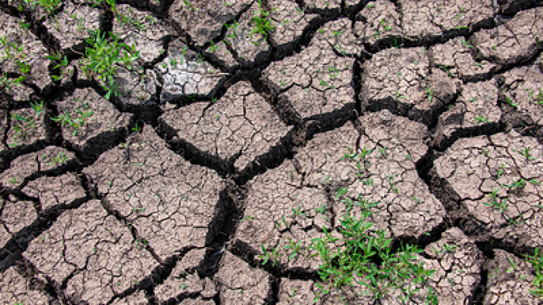    Svetlana Vozmilova/Globallookpress