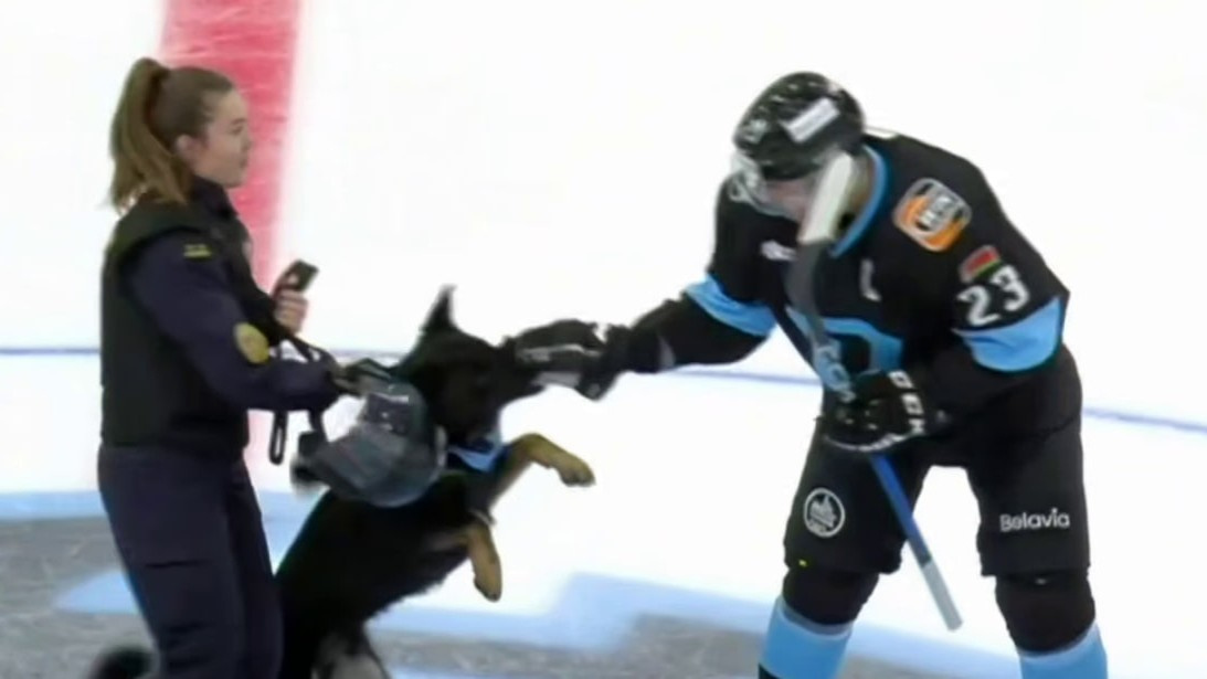     Прямая трансляция матча