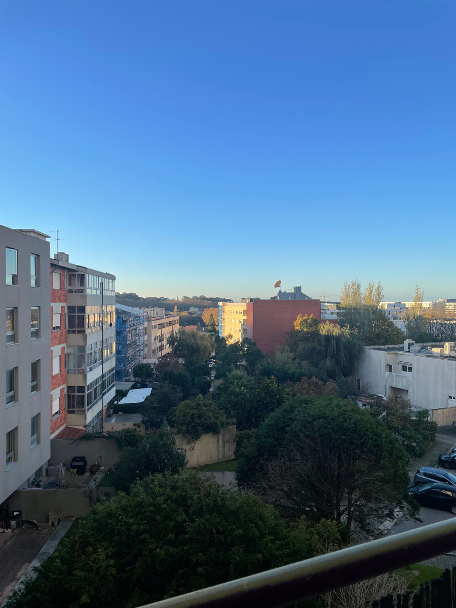 Вид из окна комнаты, в которой я живу подруги