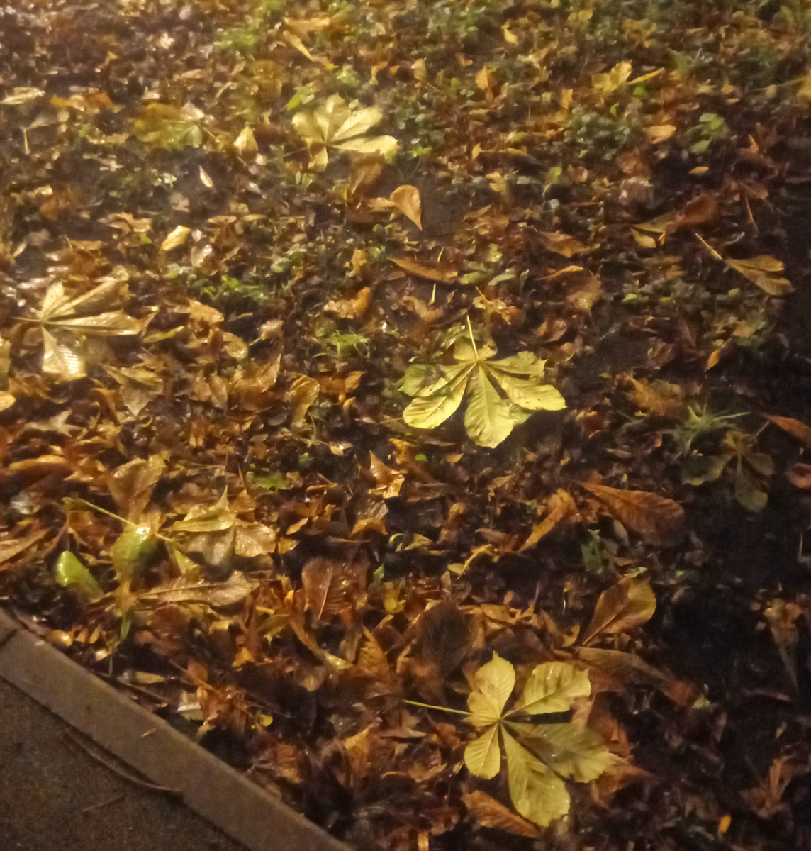 Ушла золотая