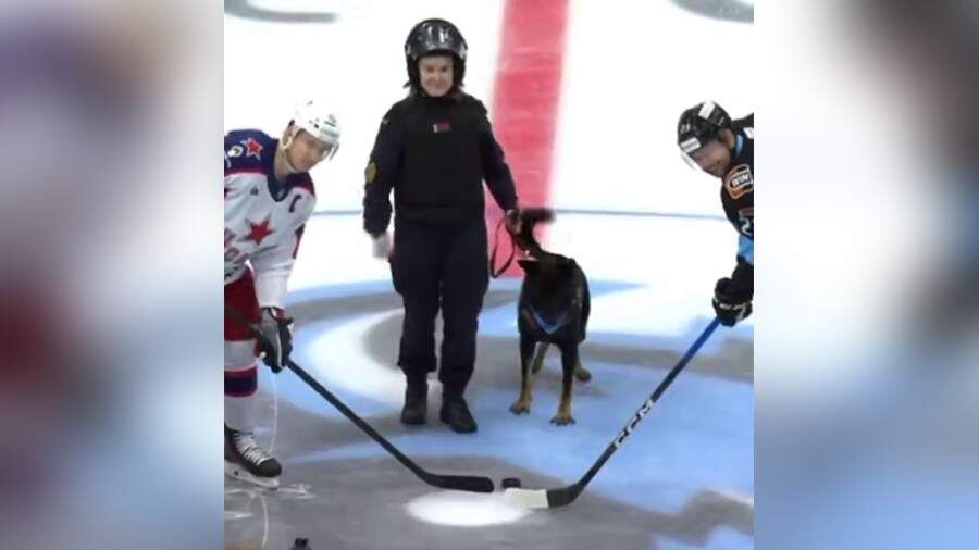    Фото: СПОРТ-ЭКСПРЕСС