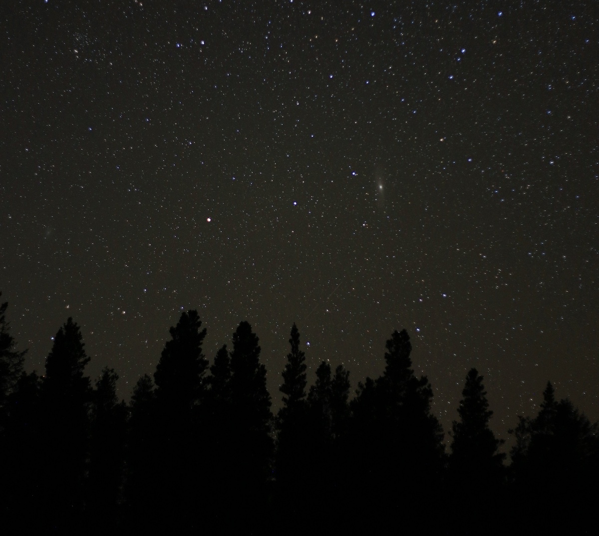 Галактики М33 (слева) и М31 (справа) над лесом, изображение из открытых источников