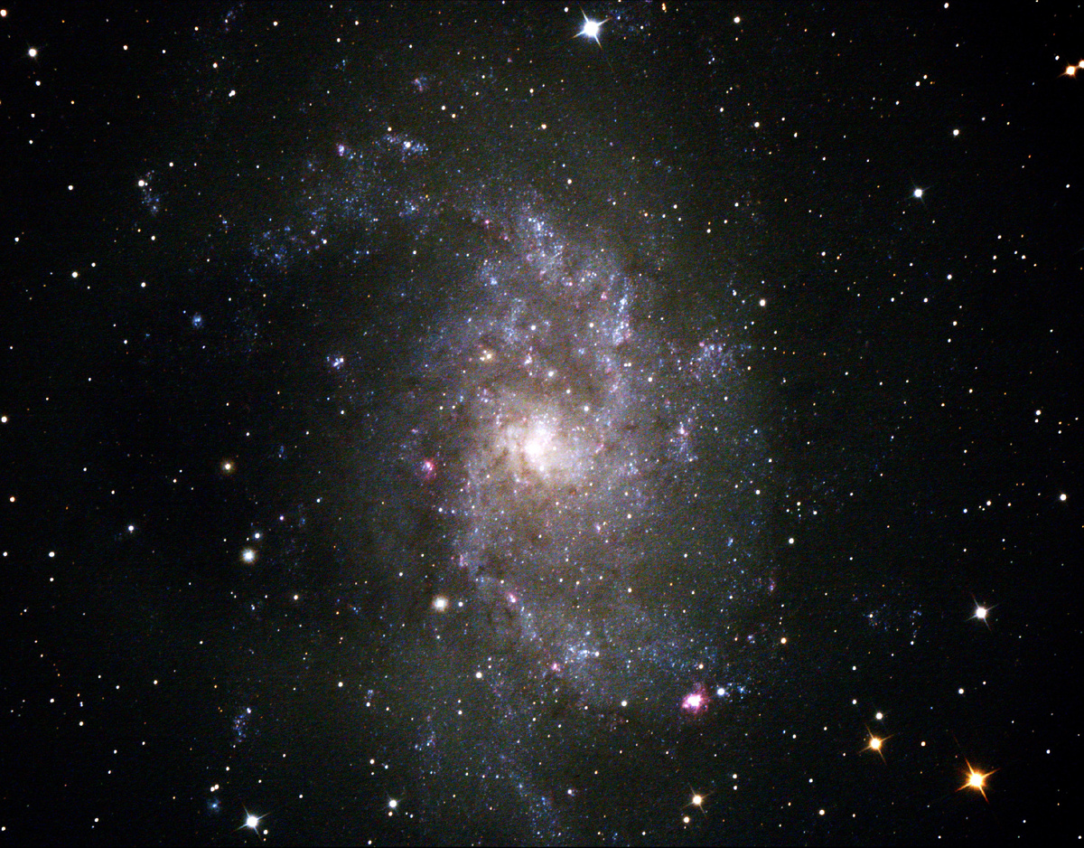 Галактика М33 летом 2025 года, фото Джона Тейлора