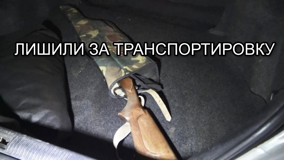 Дорога = Угодья?