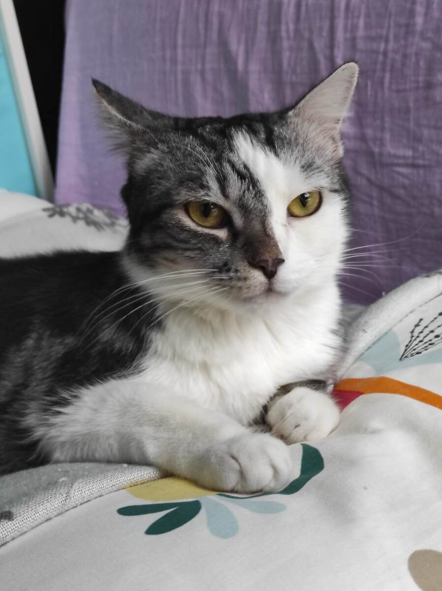 Был не дома, теперь дома)