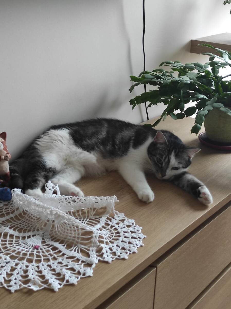 Всё у меня теперь есть - и цветы, и салфеточки!