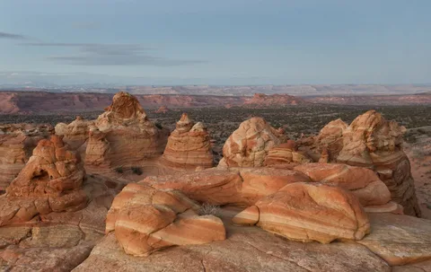 Месы. Из открытых источников