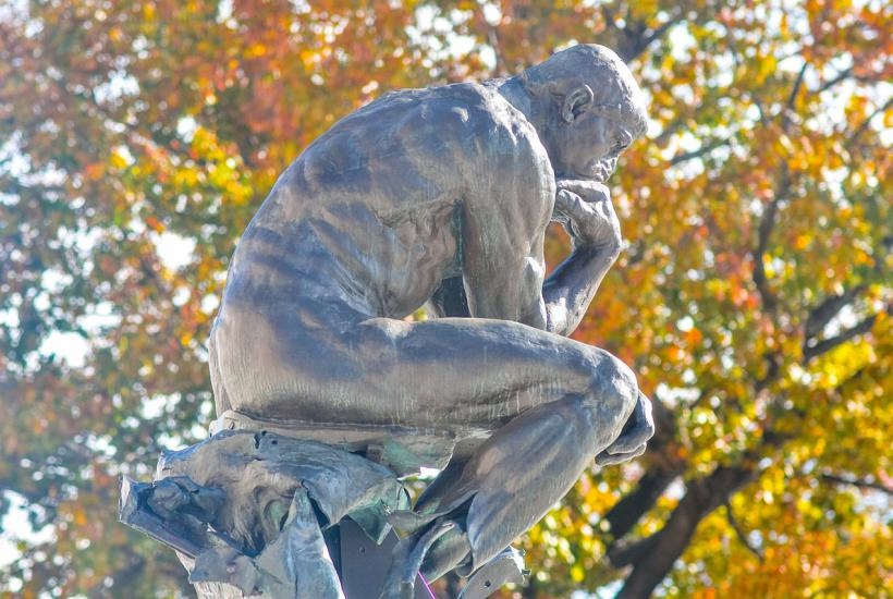 Фото: Wikimedia Commons by Erik Drost, https://creativecommons.org/licenses/by/2.0/
Роден, Мыслитель, скульптура