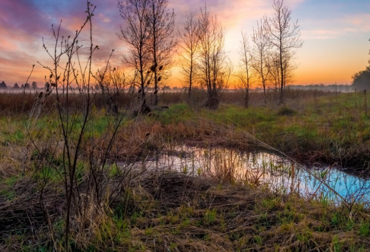 фото: pxhere.com