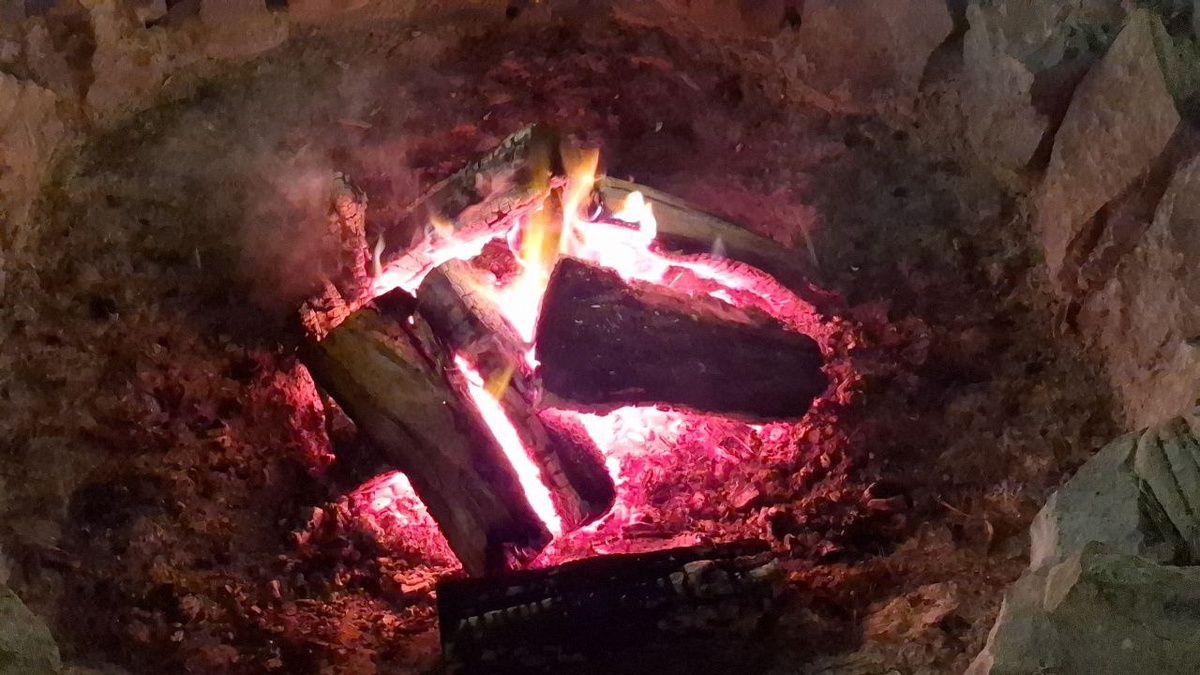 Фото от сына