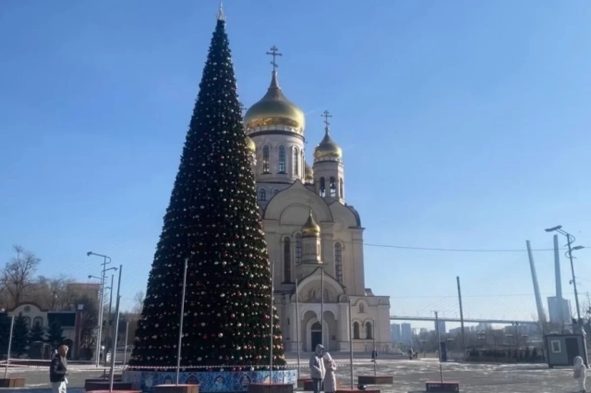    Главную 20-метровую ёлку начнут устанавливать сегодня во Владивостоке