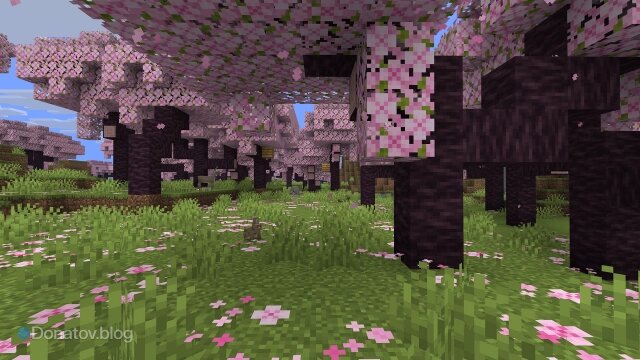    Вишнёвый биом