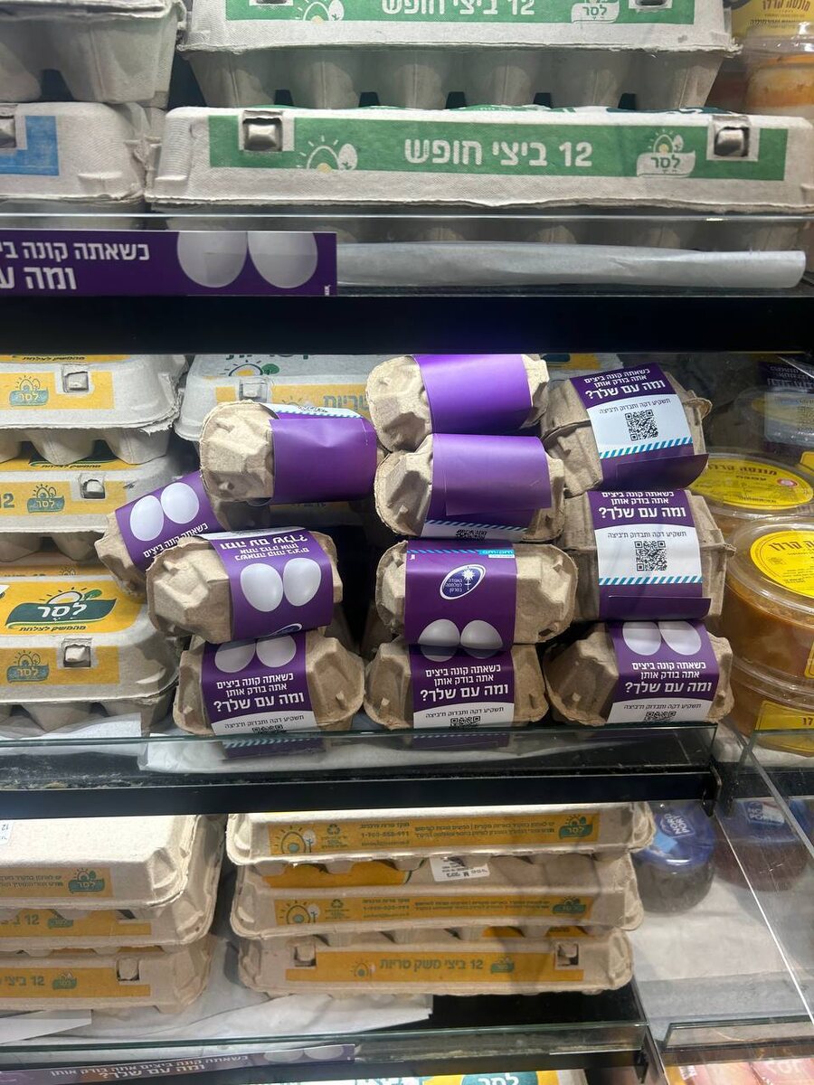 Социально ответственные яйца появились на полках израильских магазинов 