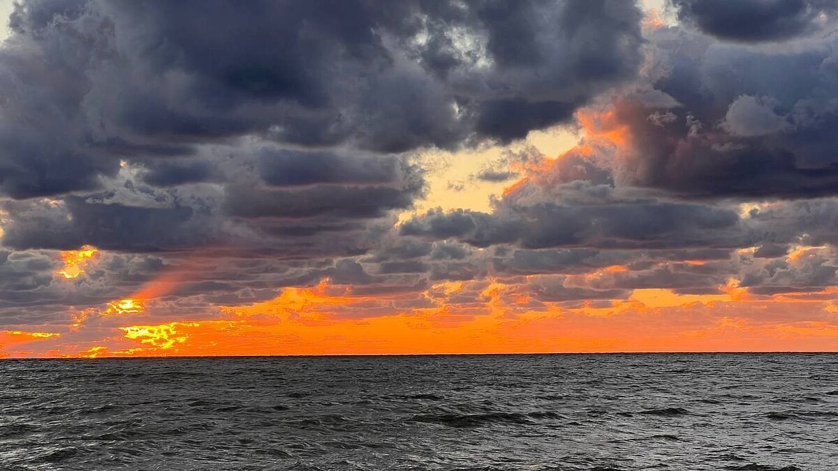    Фото: телеканал «Краснодар»