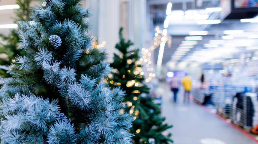    Фото: www.globallookpress.com/Rolf Vennenbernd