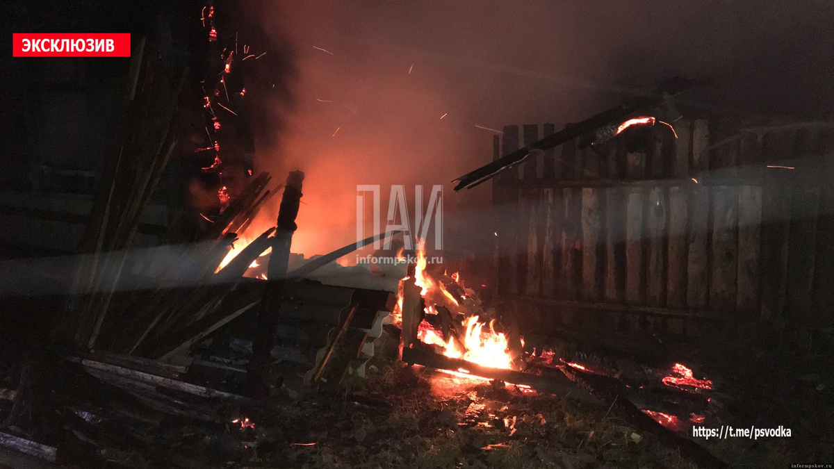 Фото здесь и далее: ПАИ