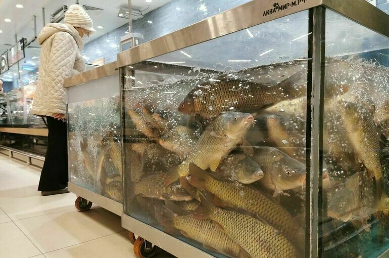 Фото взято здесь: https://www.pnp.ru/economics/rybovodnye-khozyaystvo-predlozhili-razreshit-razmeshhat-na-neispolzuemykh-gts.html