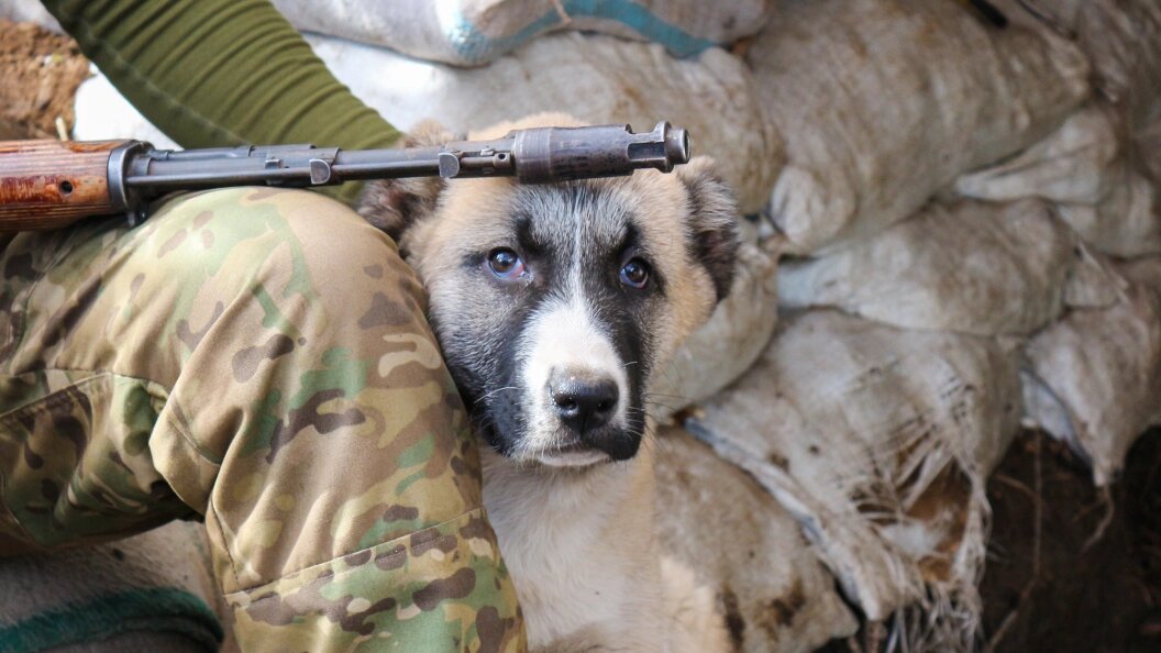    Фото:Konopatov Yuri/news.ru/Globallookpress