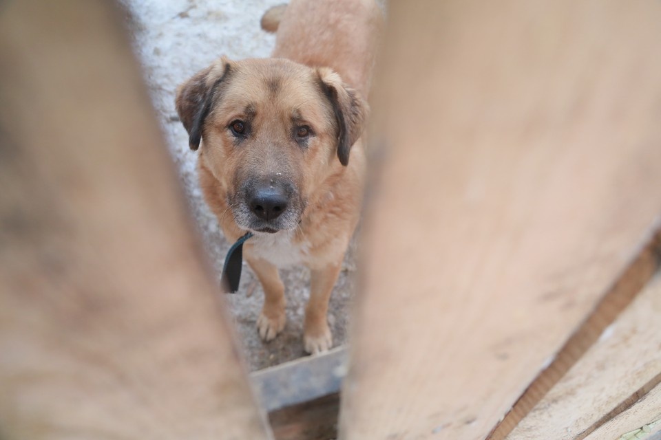    . Мария ЛЕНЦ