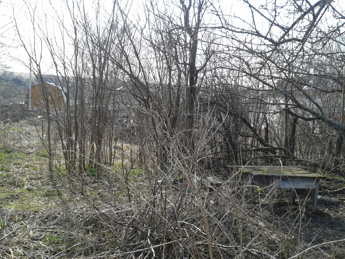 Все что было скрыто снегом