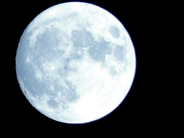    Фото: Corban Stanford/commons.wikimedia.org Алина Колупаева