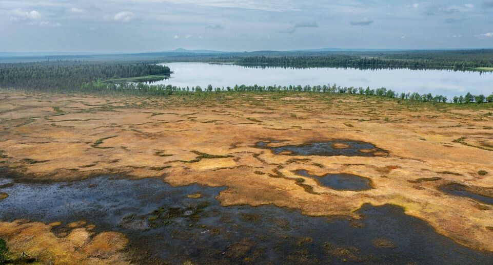    IMAGO/M. Woike / www.globallookpress.com