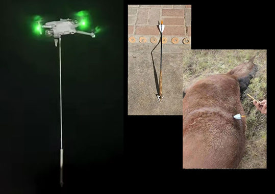 Стрела как из дорамы  про историю, с деревянным древком