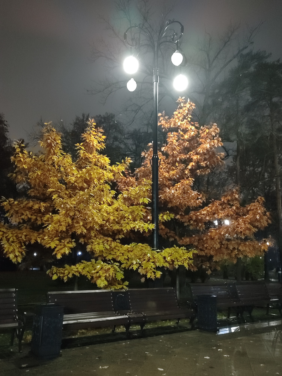 Фото автора для иллюстрации