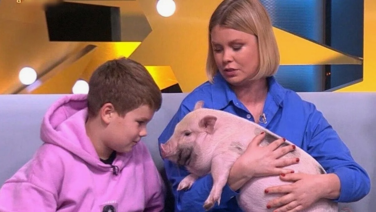 Осипова подарила сыну мини-пига. Кадр из телешоу