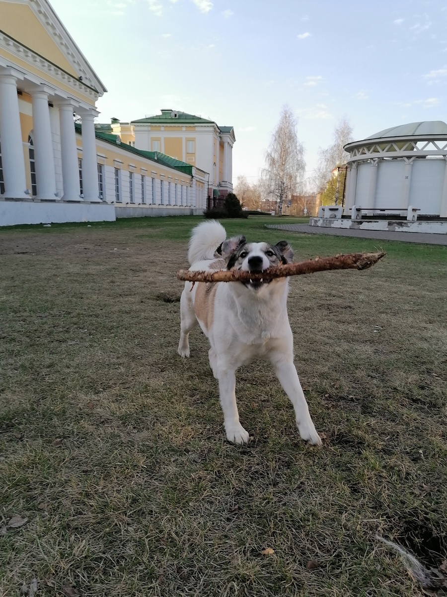 Фото автора