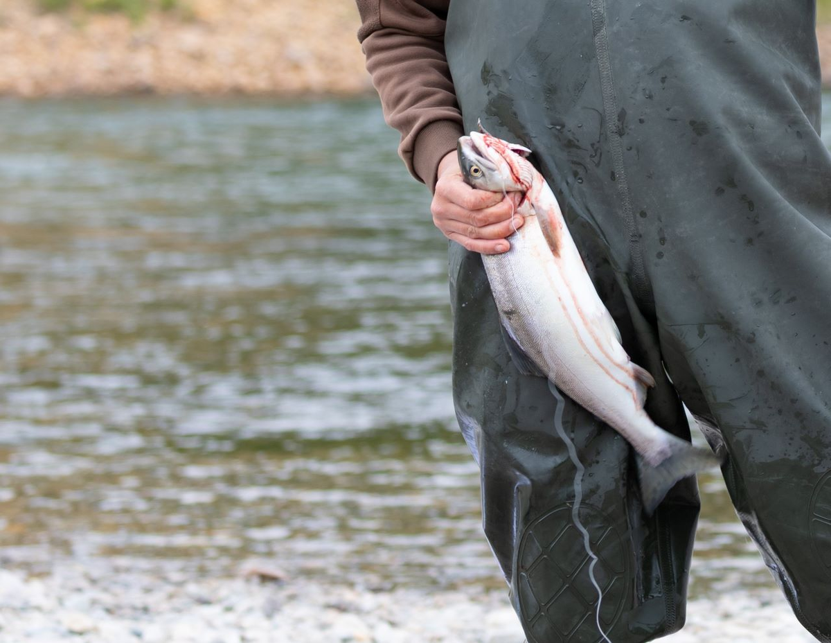 Тематическое фото: Иван Сагинбаев, «МП»