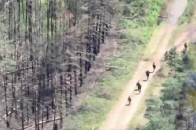    Боевики ВСУ под Купянском. Фото: кадр видео