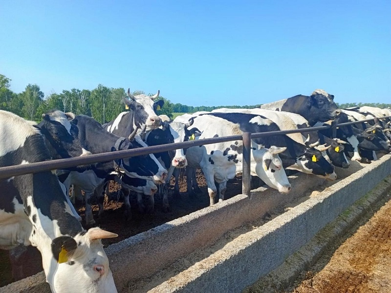    Фото из архива редакции