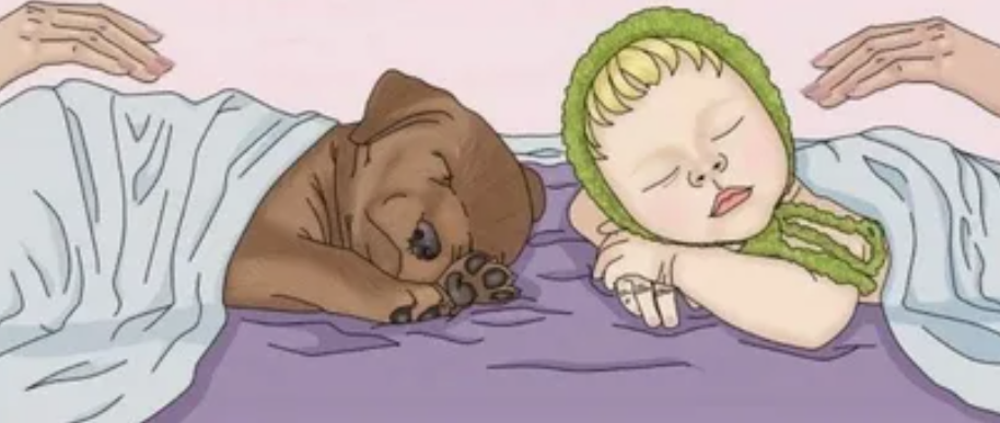 картинка из открытого доступа