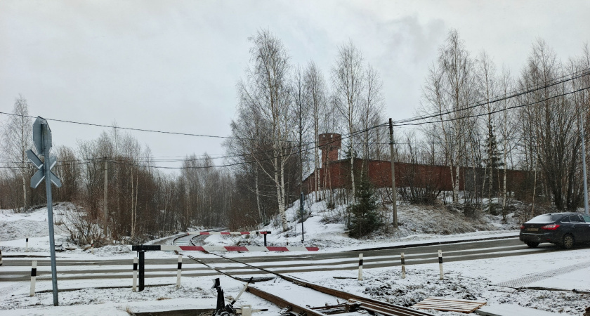    «С 23 ноября начнется – такого не было 155 лет». Синоптики сказали, к чему готовиться