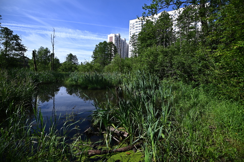    ФОТО: ОЛЕГ РУКАВИЦЫН/ЦАРЬГРАД