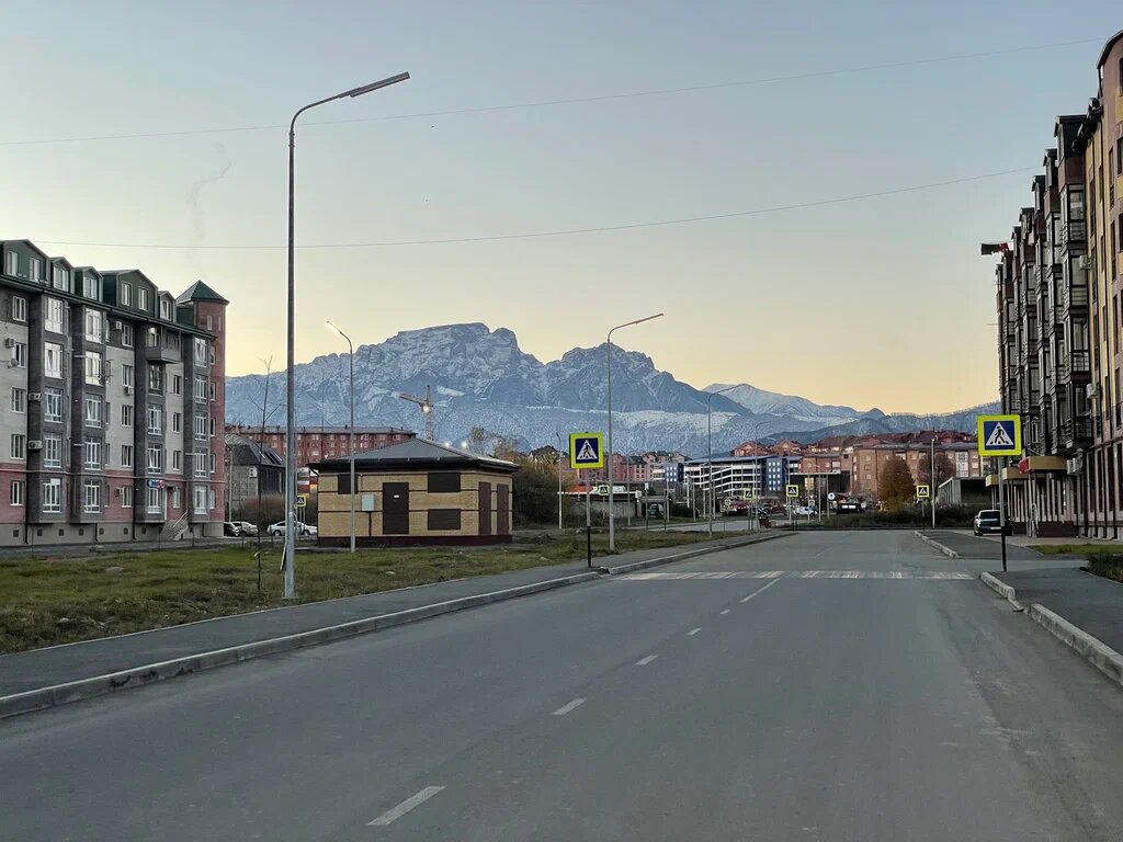    Фото: открытый источник