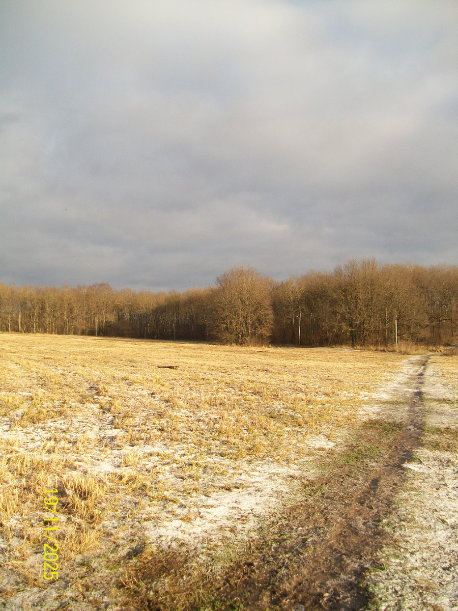 Личное фото