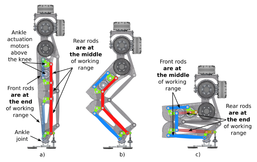 Конструкция передачи крутящего момента в голеностопе DecARt Leg с многорычажной системой: различные тяги активны в разные фазы движения. Передние тяги (обозначены синим) и задние тяги (обозначены красным) активны в различных положениях ноги: a) Полностью выпрямлена, b) В полуприседе, c) Полностью присев.📷
