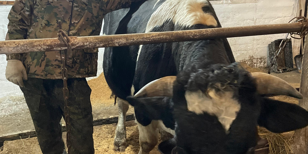 Мы ж деревенские!