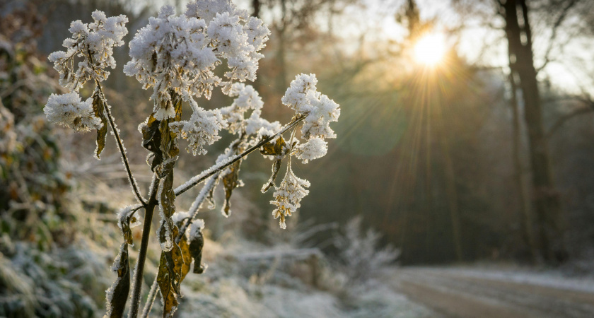    Не давай вещи в долг, согрей дом: народные приметы и запреты на 22 ноября, Матрёну Зимнюю