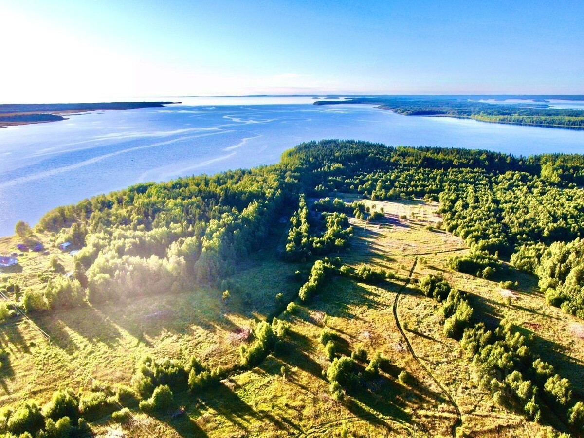    фото: © Яндекс Недвижимость