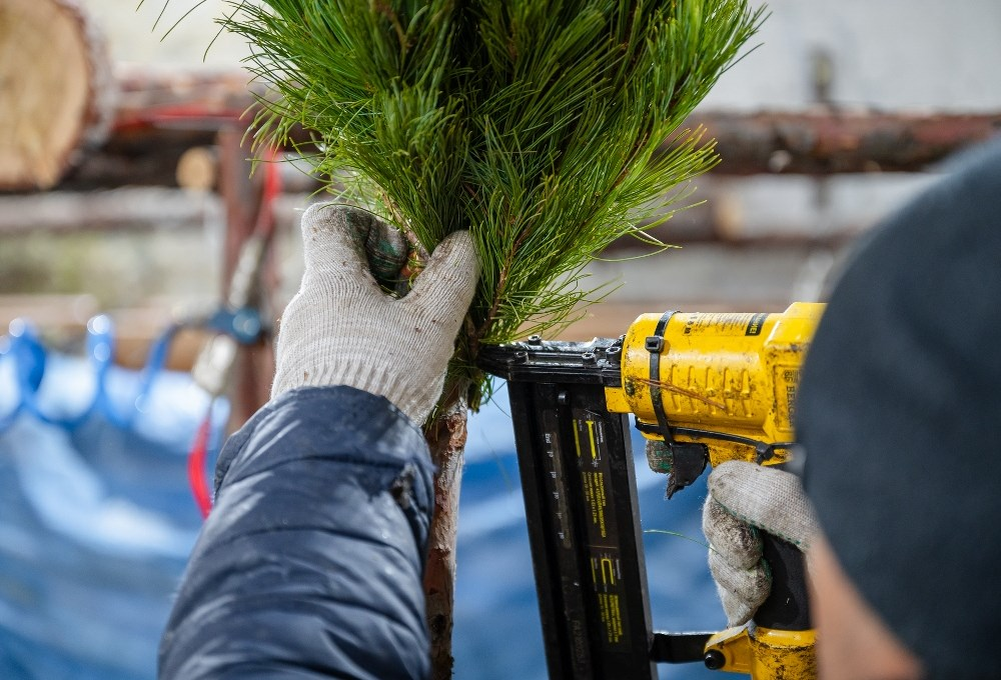Фото: пресс-служба мэрии Магадана