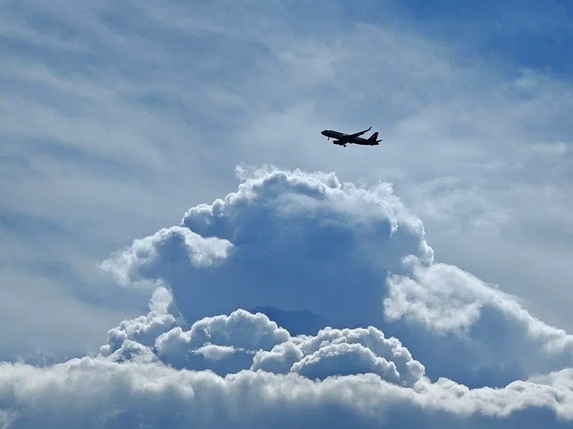    Фото: Юрий Серебренников/BFM Кубань