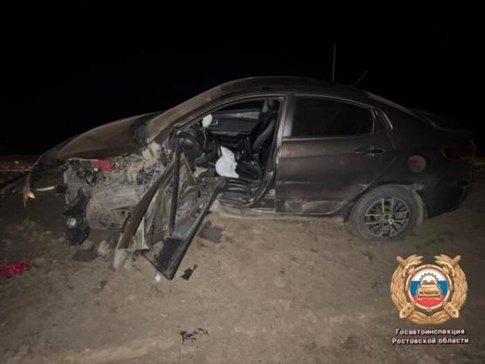 Иллюстрация: Госавтоинспекция Ростовской области