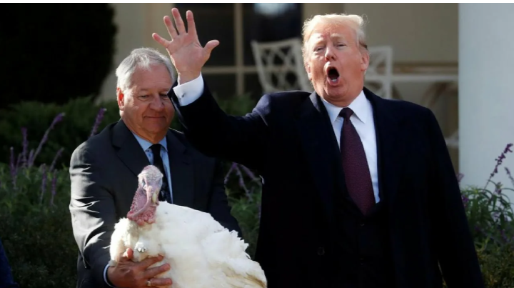 День Благодарения -- это важно!...