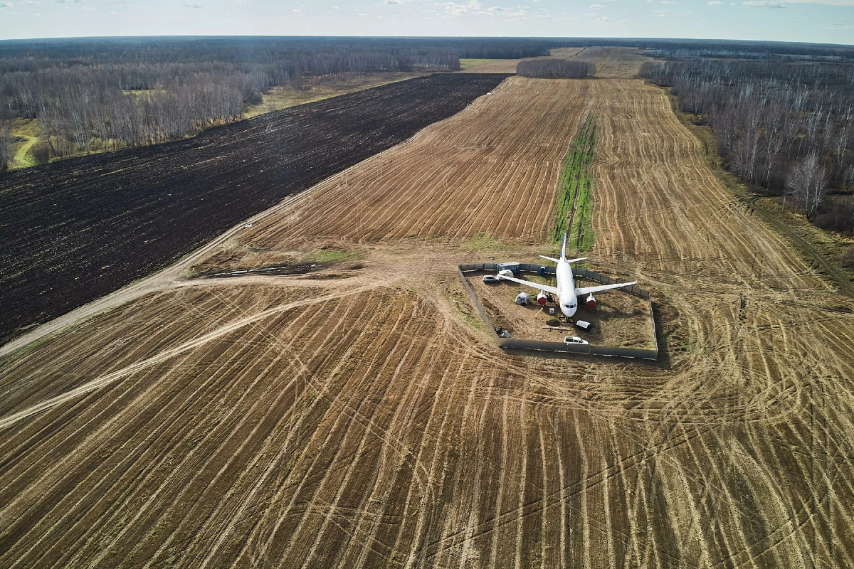 То самое поле,где все остались живы. фото: яндекс.