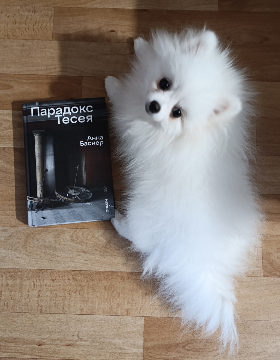 Книгу сегодня презентует Бэлка. 