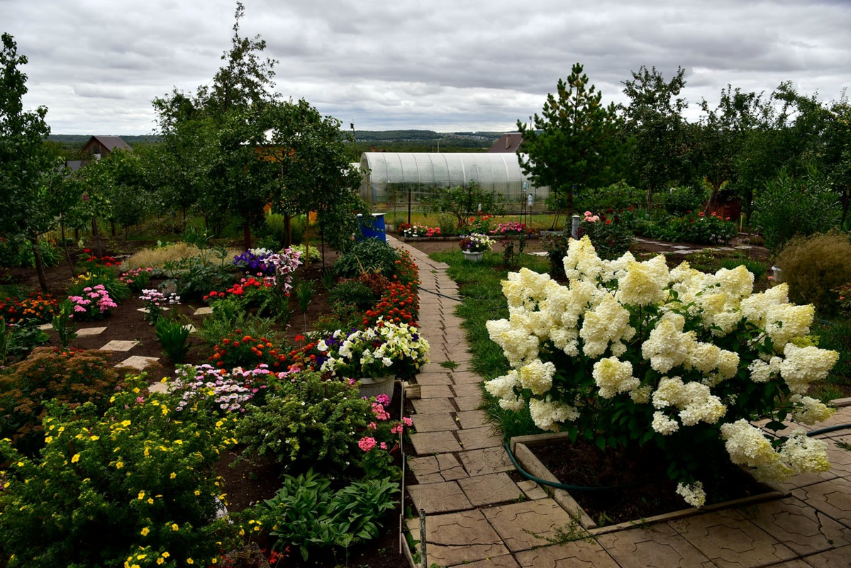 Фото: Раиф БАДЫКОВ