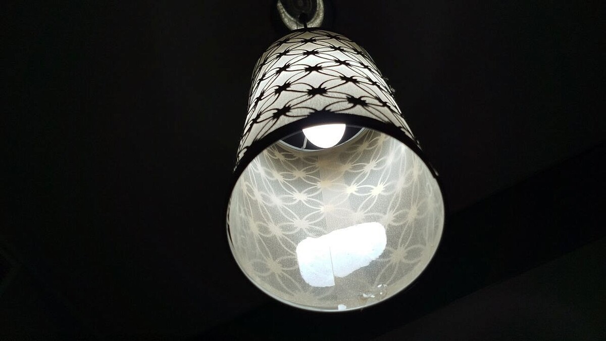    Фото: телеканал «Краснодар»